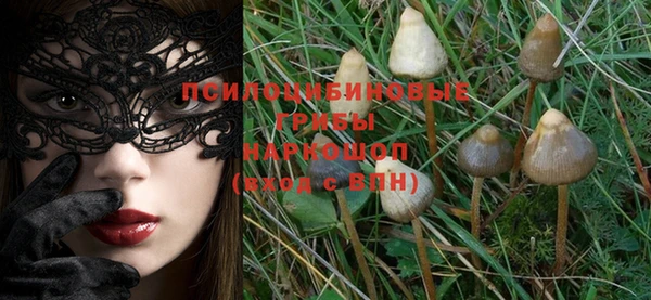 дмт Медвежьегорск